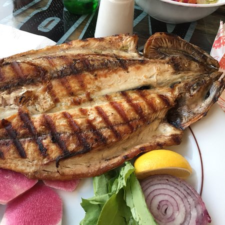 Grilled Bonito